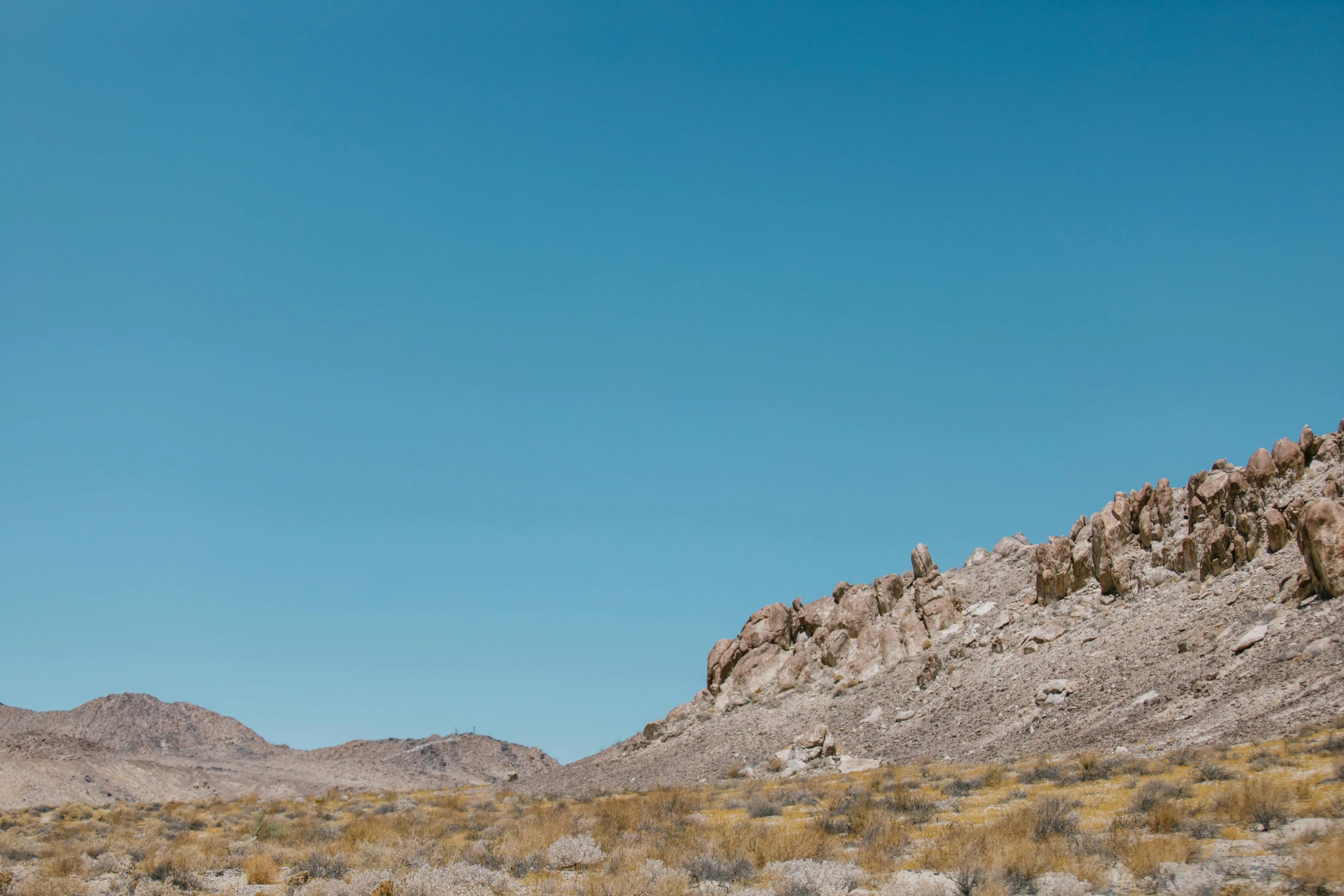 a herd of cattle grazing on top of a dry grass covered field, unsplash, visual art, big sharp rock, palm springs, background image, high res photograph