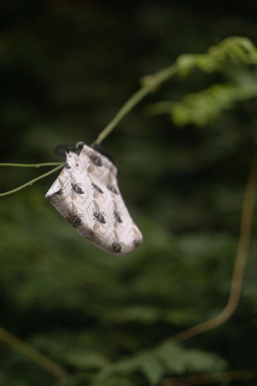 a piece of paper hanging from a tree branch, happening, moth, white with black spots, silk shoes, webbing