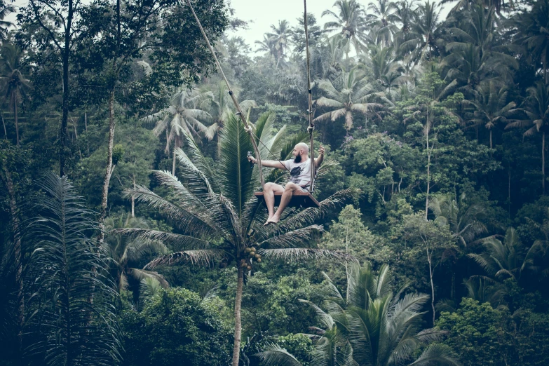 a man riding a zipline through a lush green forest, by Jessie Algie, pexels contest winner, sumatraism, coconut palms, avatar image, sitting in a tree, style of ade santora