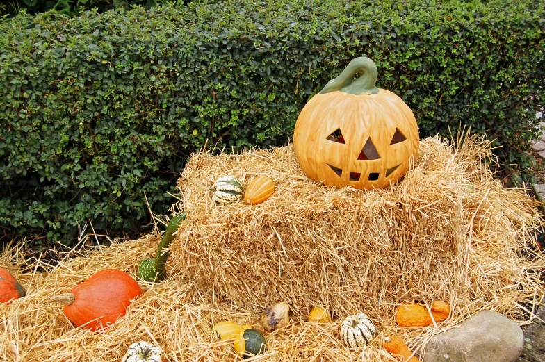 a pumpkin sitting on top of a pile of hay, square, festivals, image, portrait image