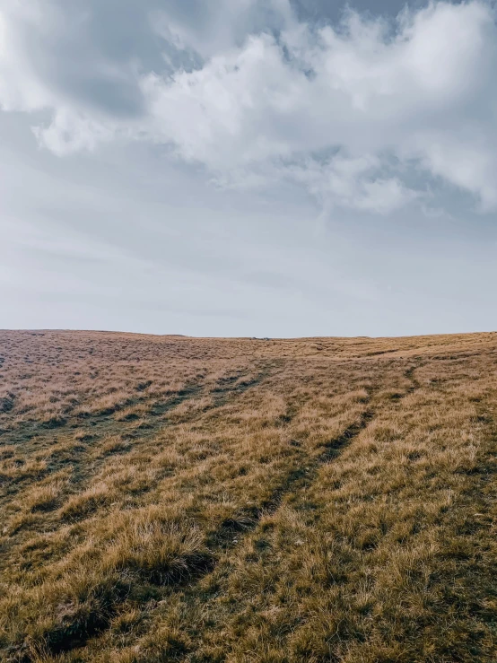 a person standing on top of a grass covered hill, in an empty field, lightroom preset, moorland, leading lines