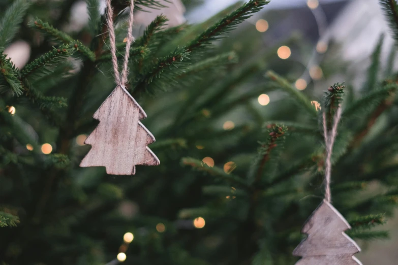 a couple of wooden ornaments hanging from a christmas tree, by Alice Mason, pexels contest winner, exterior shot, silver，ivory, looking straight forward, header