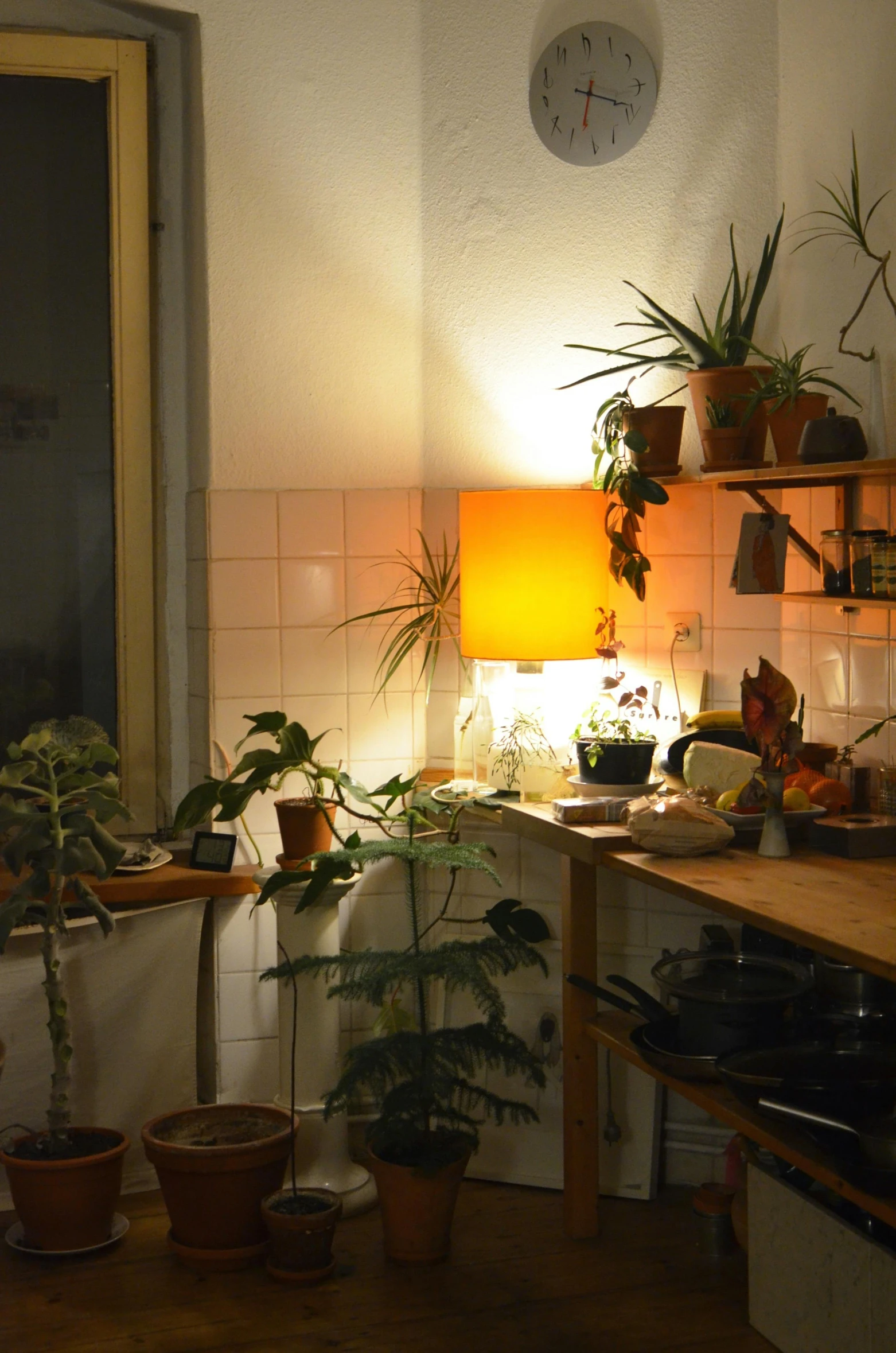 a kitchen filled with lots of potted plants, a still life, inspired by Elsa Bleda, unsplash, fantastic realism, orange lamp, low quality photo, night light, apartment of an art student