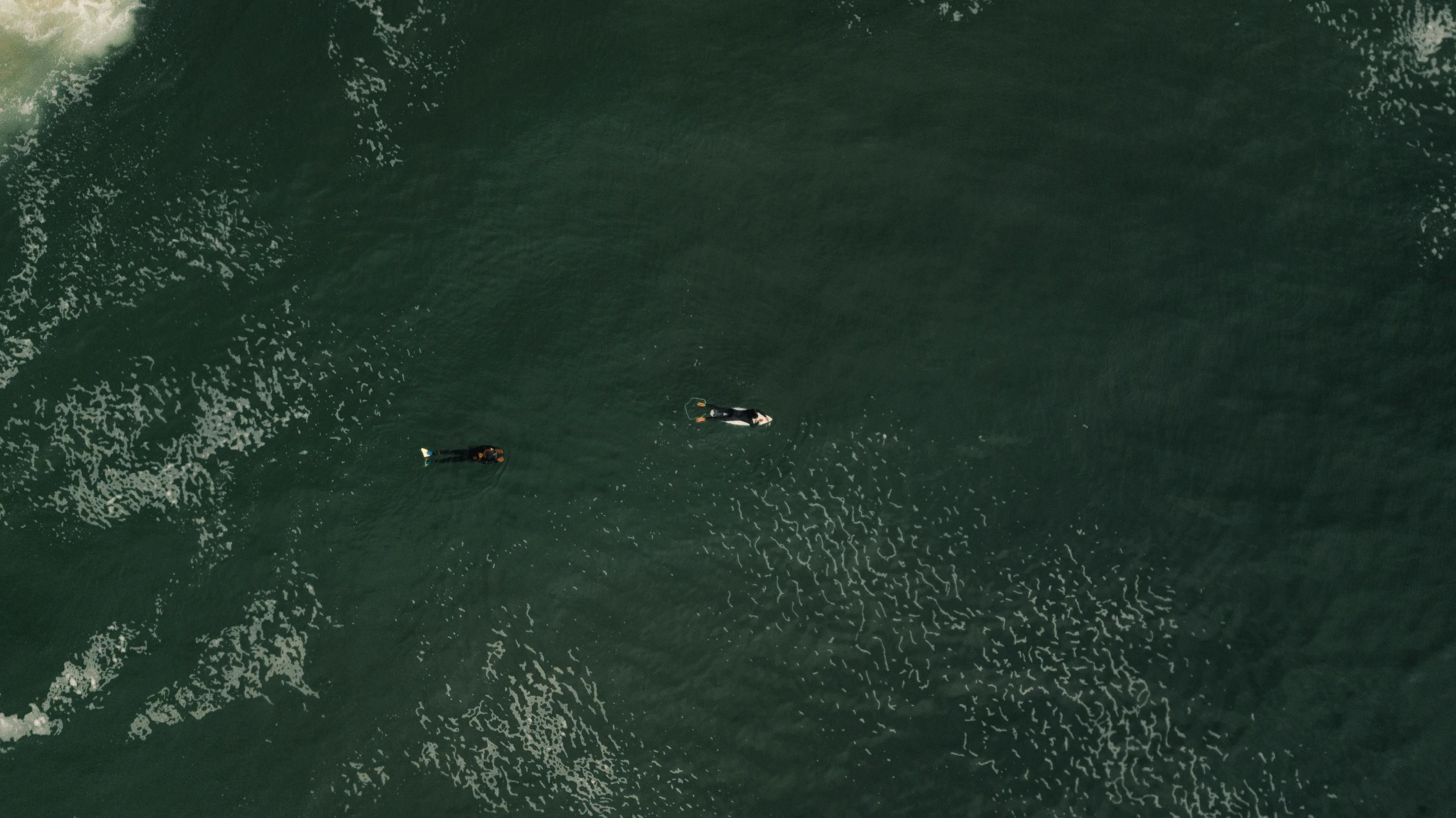 a couple of people riding a wave on top of surfboards, by Attila Meszlenyi, satellite imagery, dark green water, seattle, 15081959 21121991 01012000 4k