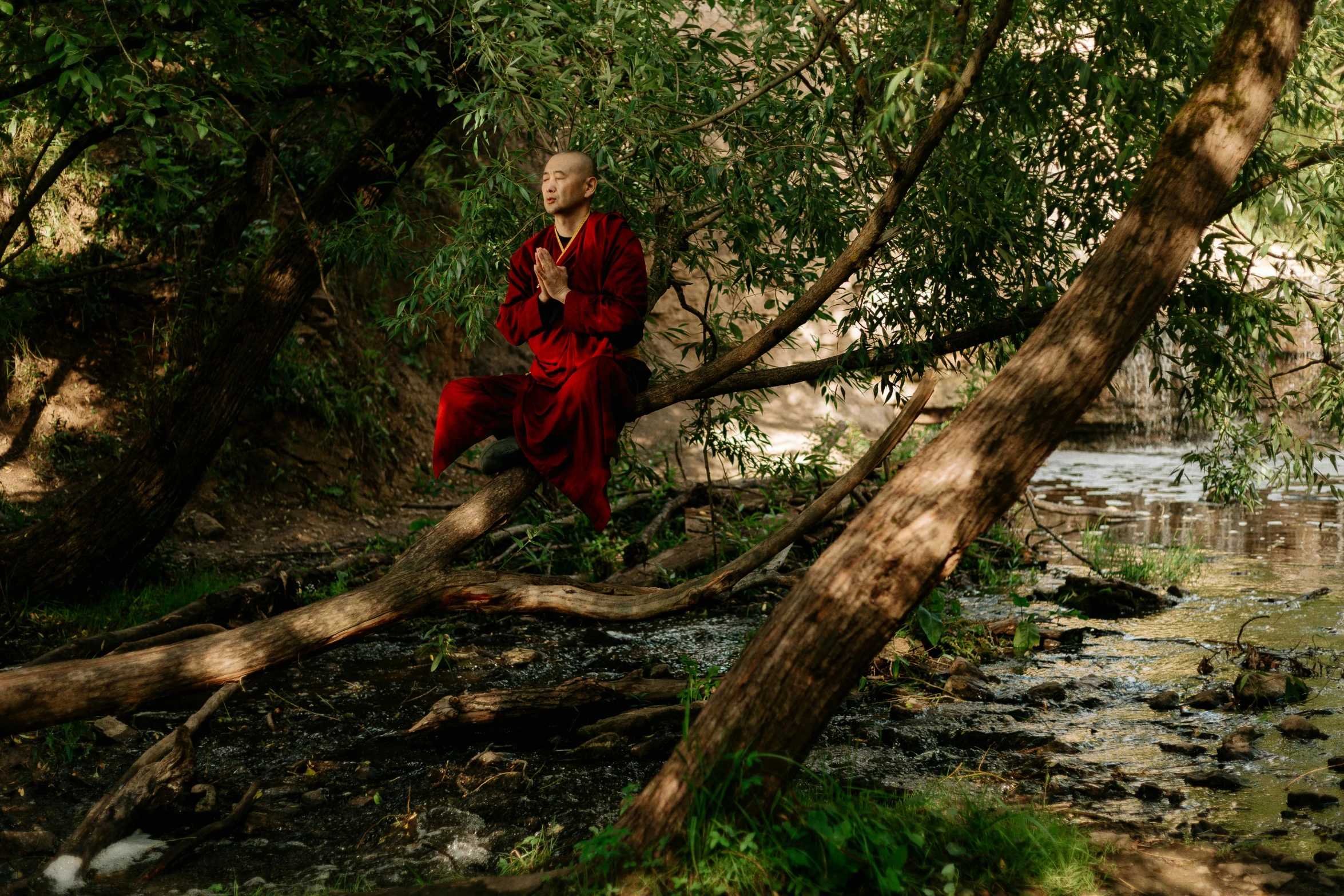 a man in a red robe sitting on a tree branch, a portrait, unsplash, hurufiyya, monk meditate, next to a small river, azamat khairov, 33mm photo