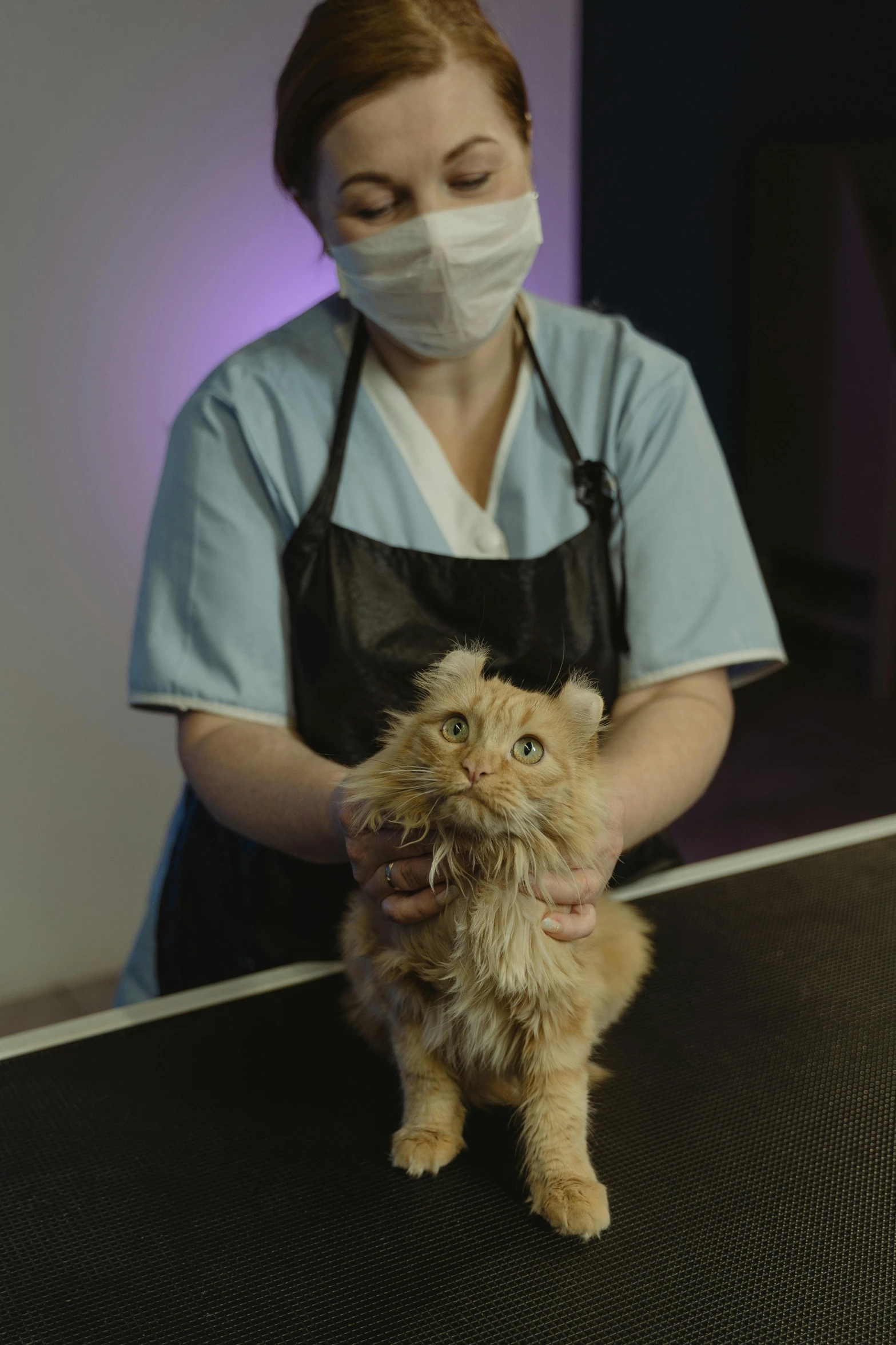 a woman in a face mask holding a cat, medical dissection, fluffy mane, david febland, hr ginger