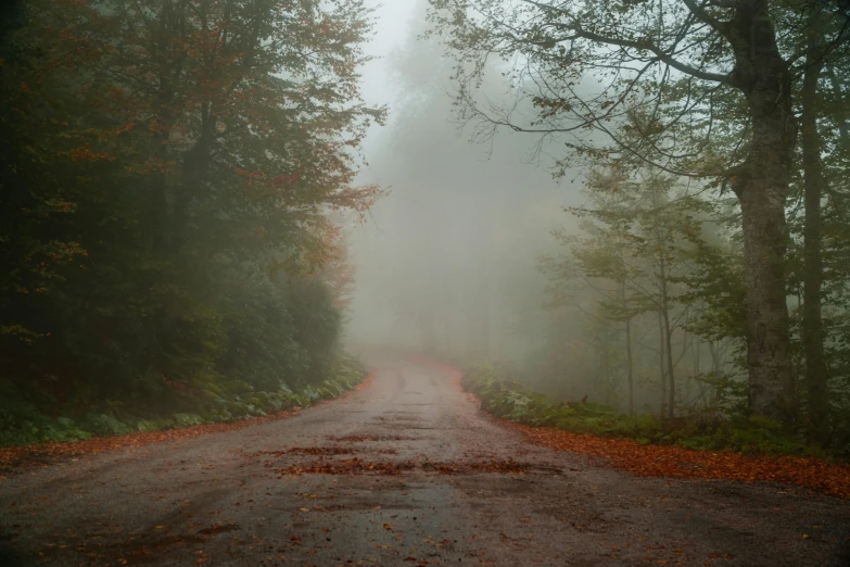 a dirt road surrounded by trees on a foggy day, by Béla Nagy Abodi, fan favorite, orange fog, paved roads, grey