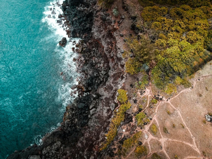 an aerial view of a beach next to the ocean, a photo, pexels contest winner, happening, lava rock, detailed trees and cliffs, thumbnail, stone paths