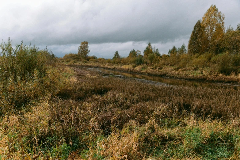 a river running through a lush green forest, an album cover, inspired by Thomas Struth, hurufiyya, autumn field, russian landscape, vhs colour photography, marshes