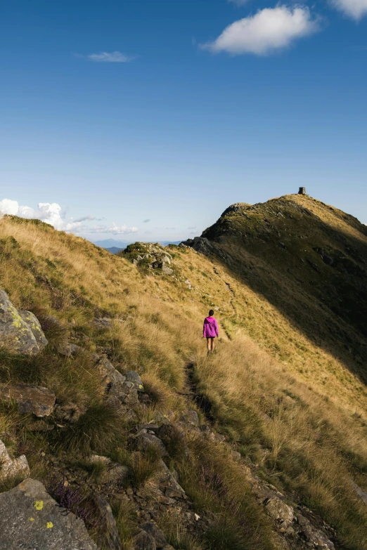 a person walking up a hill on a sunny day, by Peter Churcher, unsplash contest winner, renaissance, new zealand landscape, 8k hd resolution”, carpathian mountains, peak experience ”