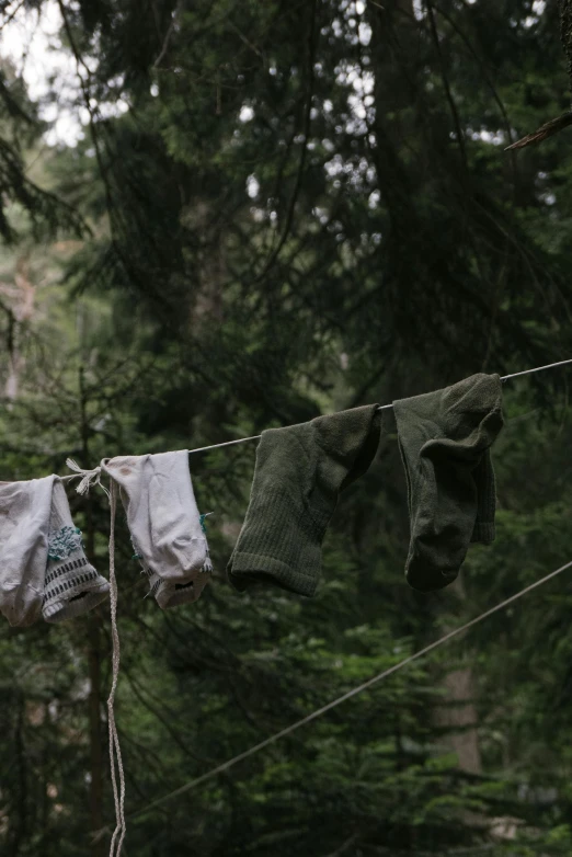 clothes hanging on a clothes line in the woods, inspired by Elsa Bleda, unsplash, renaissance, muted green, still from nature documentary, dirty clothes, in an arctic forest