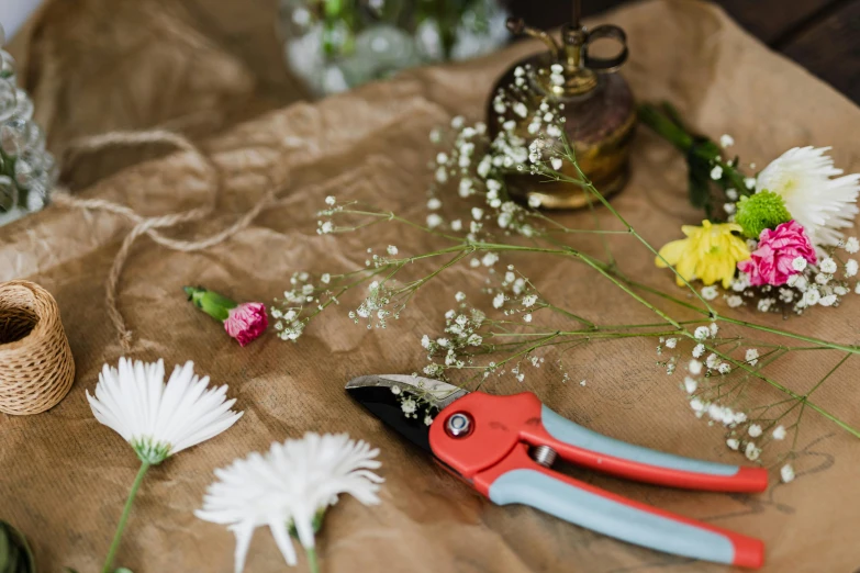 a pair of pliers sitting on top of a piece of paper, a still life, trending on pexels, arts and crafts movement, flower decorations, gypsophila, gardening, wrapped in flowers