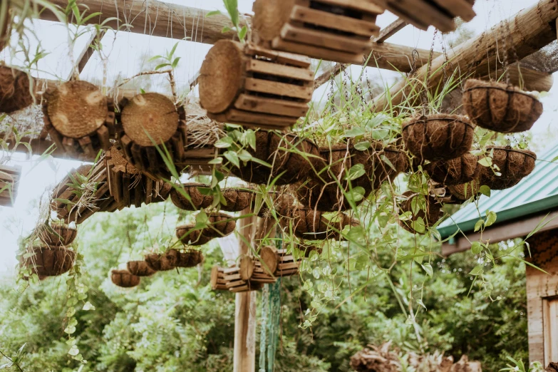 a bunch of logs hanging from a wooden structure, unsplash, environmental art, in bloom greenhouse, top down shot, jungle vines, filled with plants and habitats