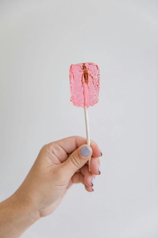 a person holding a pink lollipop on a stick, jelly - like texture, scorpion tail, rectangle, full product shot