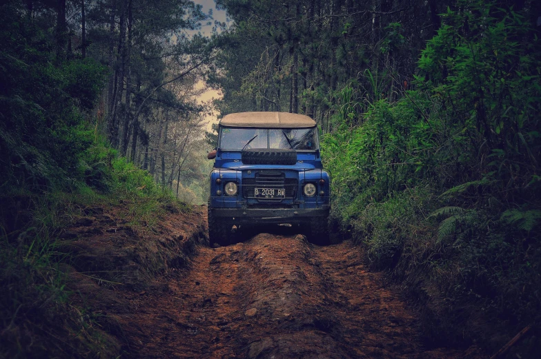 a blue land rover driving down a dirt road, pexels contest winner, sumatraism, avatar image, old school fpr, coban, in the wood