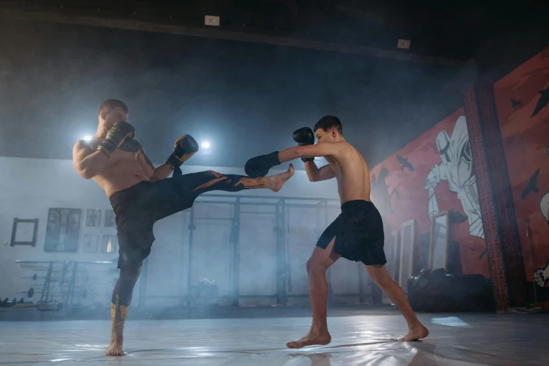 a couple of men standing next to each other on a stage, pexels contest winner, figuration libre, heroic muay thai stance pose, in a dojo, avatar image, action with run and fight