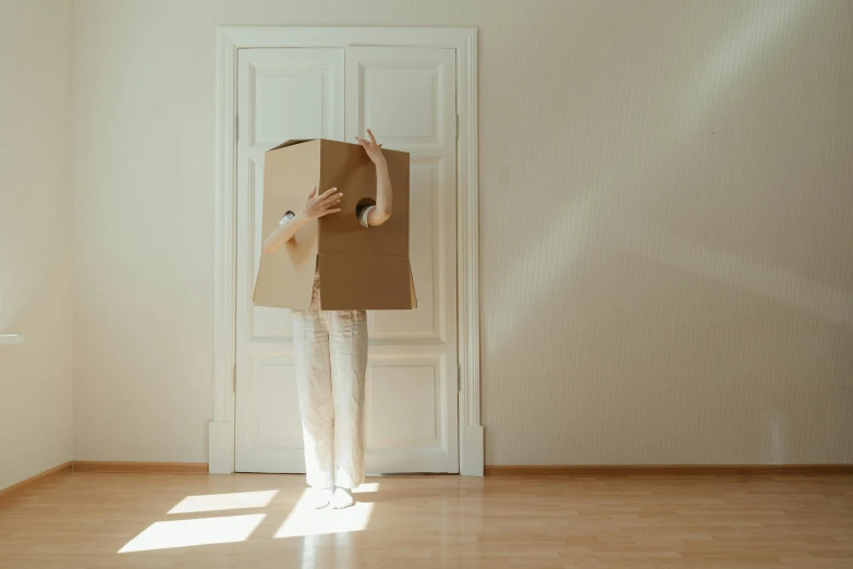 a person standing in a room with a cardboard box on their head, tan, opening door, whole body photography, square face