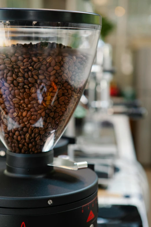 a coffee grinder sitting on top of a counter, bay area, profile image, essence, uncrop