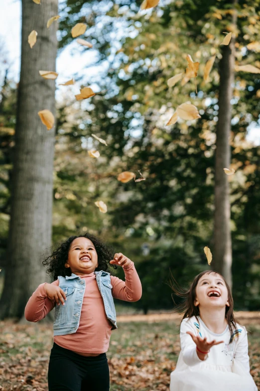 two little girls playing with leaves in a park, pexels contest winner, both laughing, looking upward, sydney park, 1 4 9 3