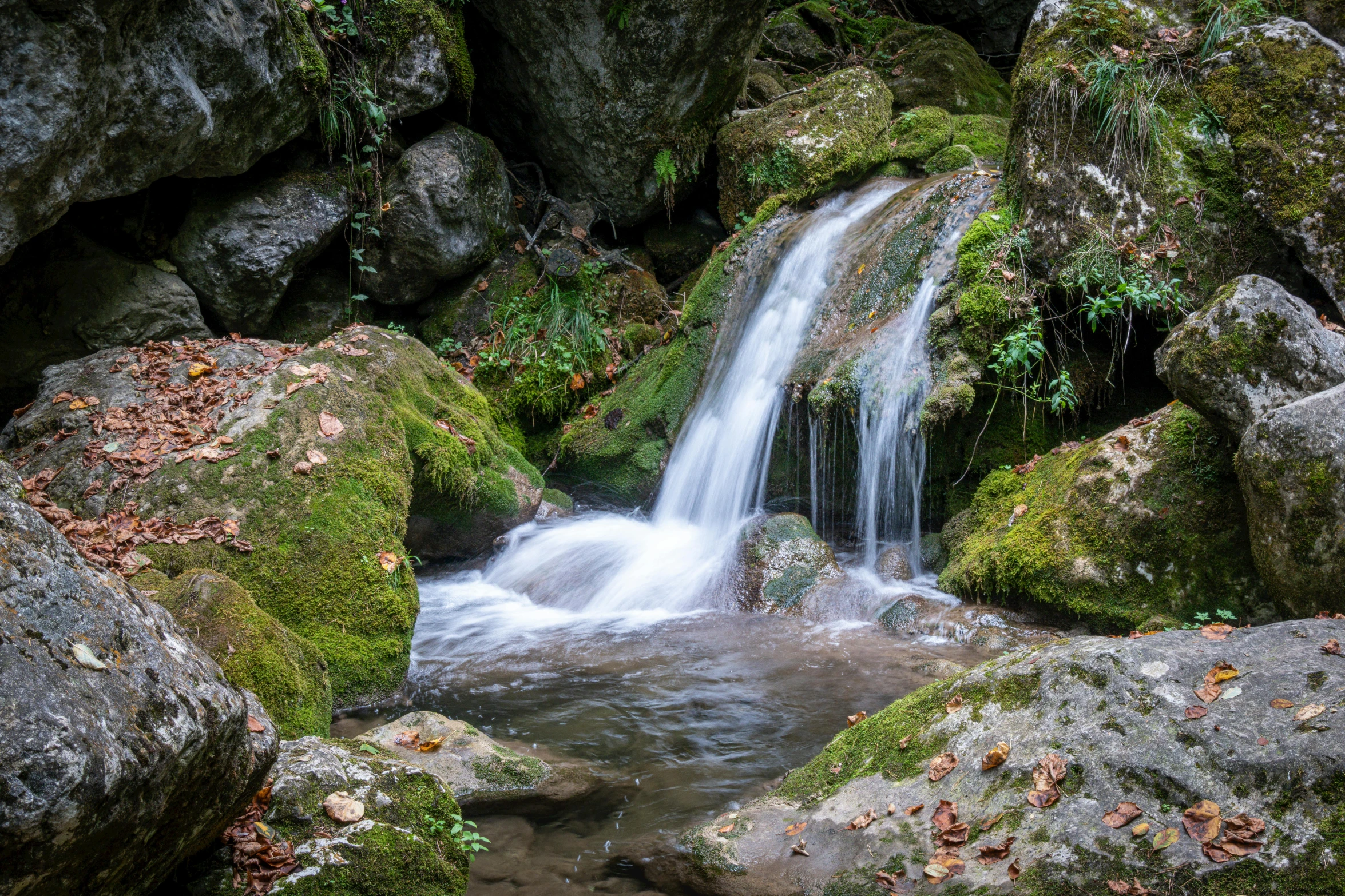 a small waterfall flowing through a lush green forest, by Mirko Rački, pexels contest winner, renaissance, wet rocks, youtube thumbnail, mid fall, thumbnail