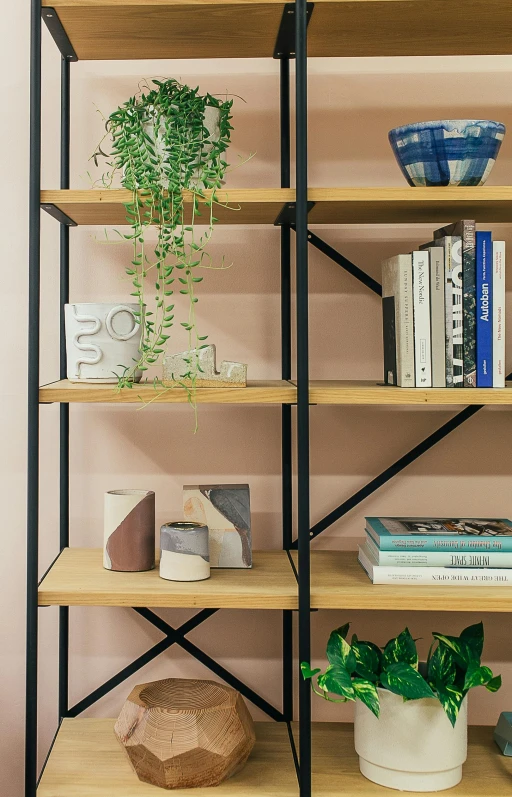 a bookshelf filled with lots of books and plants, unsplash, modernism, detail studio quality lighting, dwell, decorations, metalwork