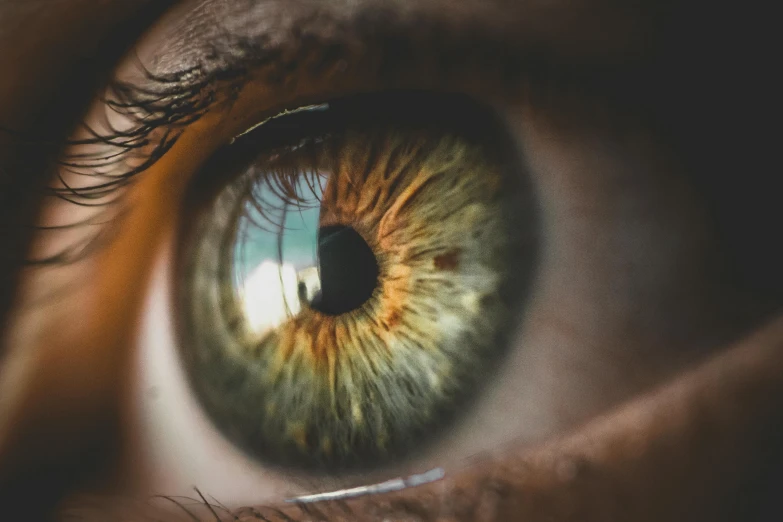 a close up of a person's eye, trending on pexels, greenish tinge, instagram post, focal depth, extremely hyper - detailed