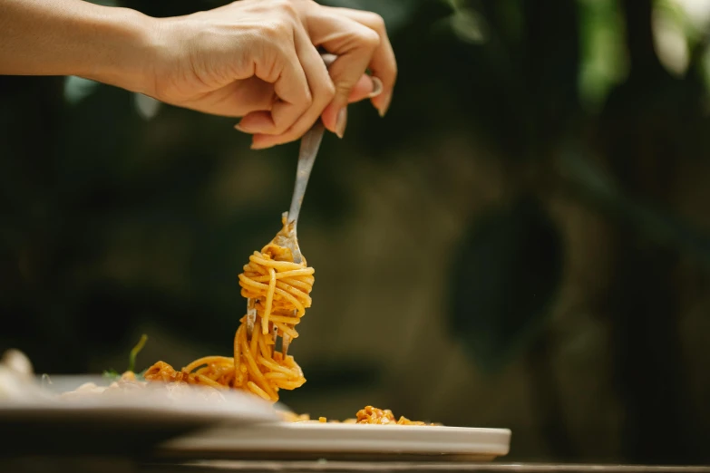 a person holding a fork over a plate of food, pexels contest winner, pasta, 🦩🪐🐞👩🏻🦳, al fresco, up close