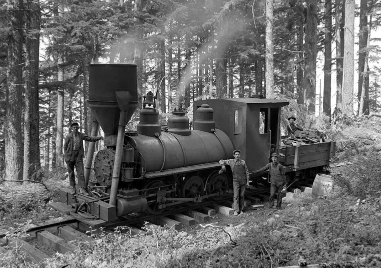 a black and white photo of a train in the woods, a colorized photo, lumberjack, phot, washington, ( ( illustration