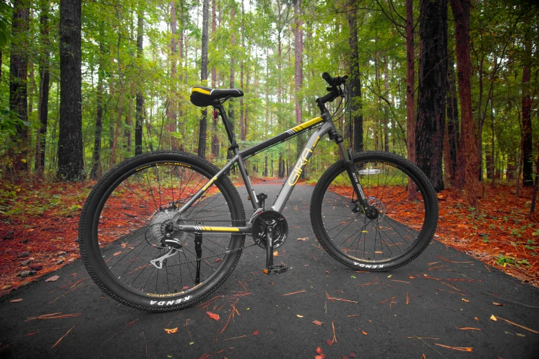 a bicycle is parked on a path in the woods, profile image, modeled, yellow and charcoal, full product shot