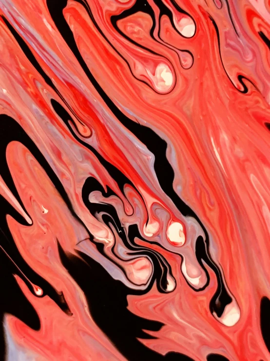 a close up of a red and black painting, by Lisa Milroy, trending on pexels, melting in coral pattern, glossy digital painting, ilustration, an ai generated image