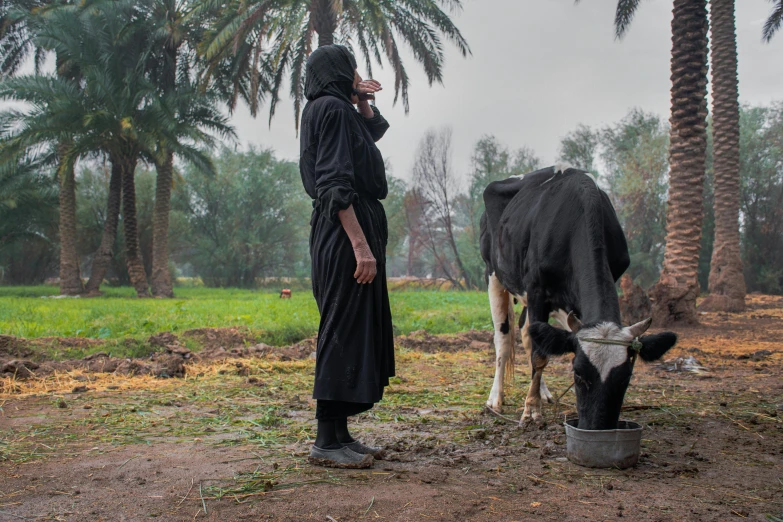 a man standing next to a cow in a field, by Daniel Lieske, thunderstorm in marrakech, woman in black robes, very thirsty, world press photo