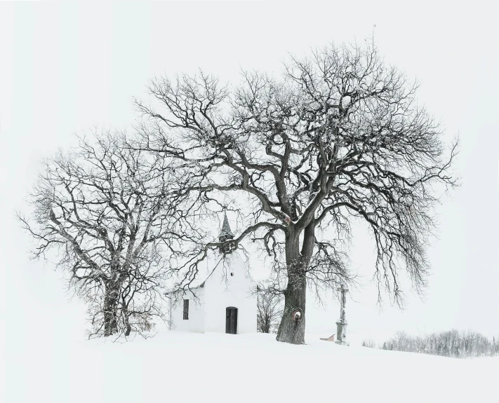 a man riding a snowboard down a snow covered slope, a photo, by Anato Finnstark, baroque, church in the wood, lonely tree, white minimalist architecture, old american midwest
