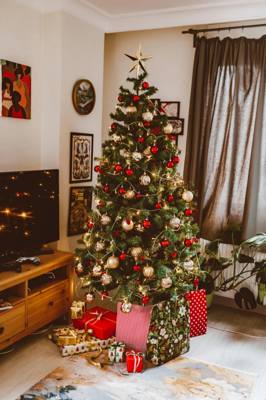 a decorated christmas tree in a living room, taken with sony alpha 9, tree and plants, rectangle, tag