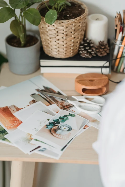 a desk with a potted plant on top of it, a picture, trending on pexels, process art, magazine scraps, glowforge template, magazines, brown and white color scheme