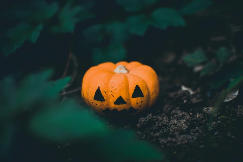 a pumpkin that is sitting in the dirt, pexels contest winner, avatar image, halloween decorations, profile image, instagram picture