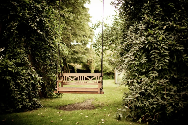 a wooden bench sitting on top of a lush green field, a picture, swing on a tree, in a garden, private moment, lush garden surroundings