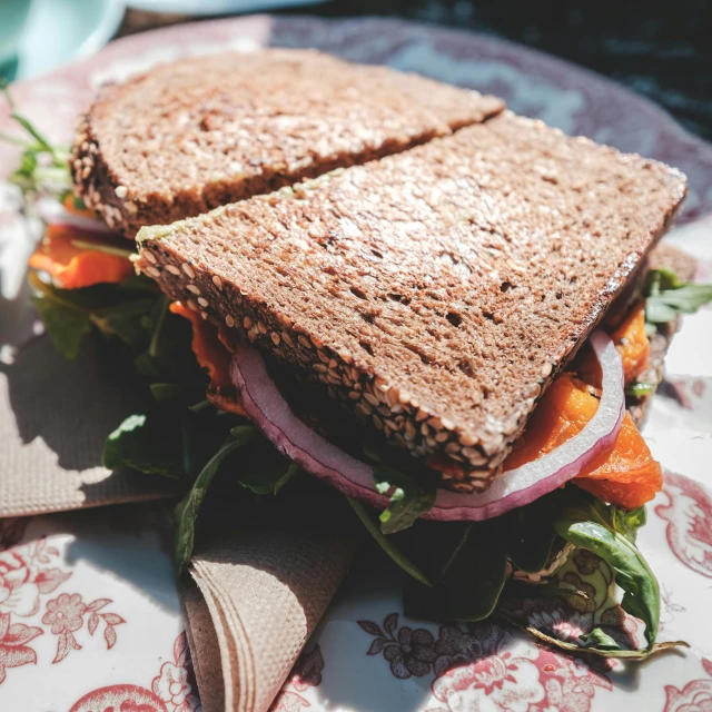 a close up of a sandwich on a plate, pexels contest winner, private press, on a sunny day, 🦩🪐🐞👩🏻🦳, classic gem, grainy