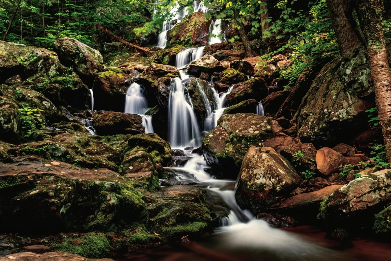 a waterfall flowing through a lush green forest, a picture, unsplash contest winner, hudson river school, wet rocks, thumbnail, brown, slide show