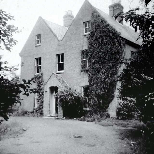 an old black and white photo of a house, by Carl Critchlow, cranbow jenkins, face in focus 1 8 9 0's, walton ford, court archive images