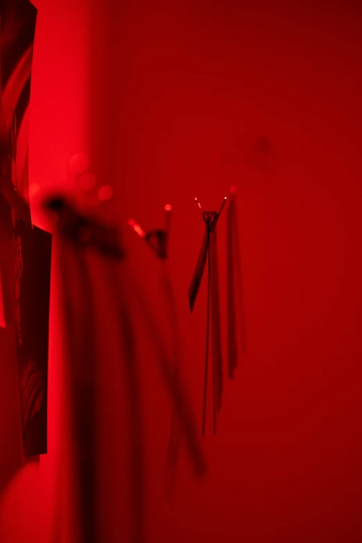 a person standing in front of a red light, by Elsa Bleda, conceptual art, ribbons, torches on the wall, close up details, red-fabric