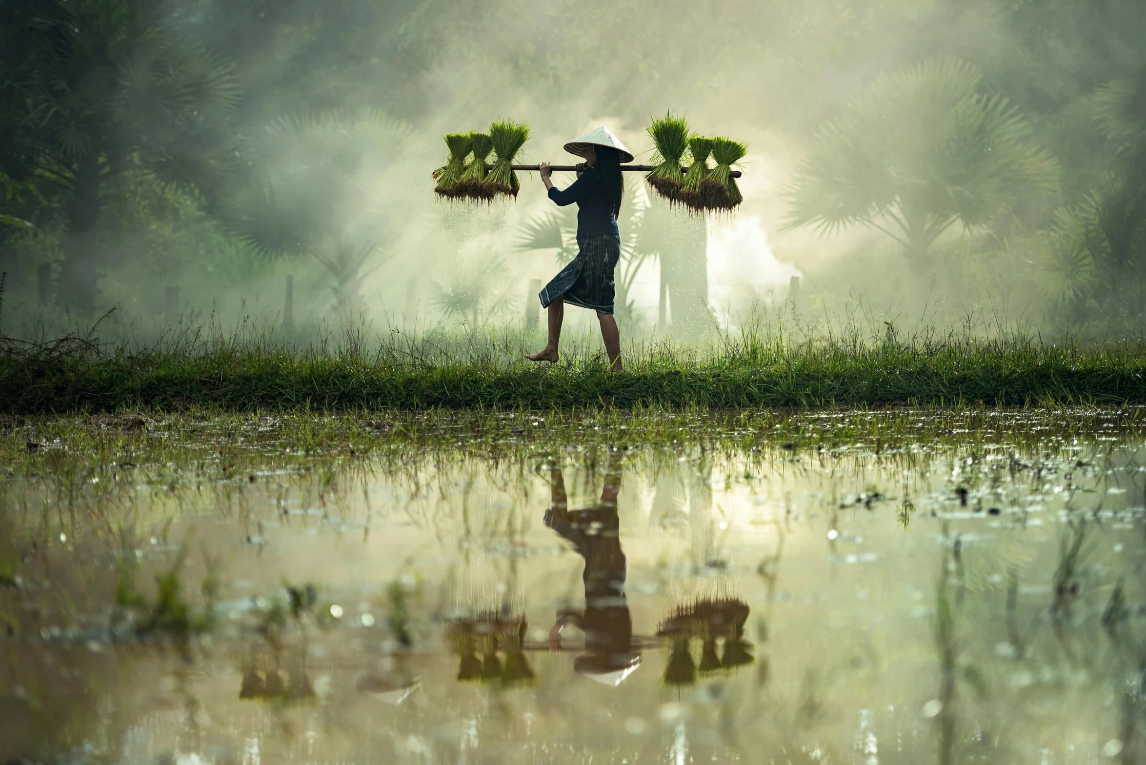 a man walking across a lush green field next to a puddle of water, a picture, inspired by Steve McCurry, pexels contest winner, sumatraism, woman made of plants, working hard, miss aniela, farming