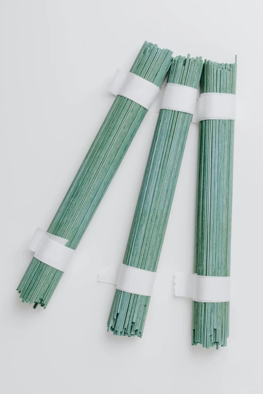 a couple of sticks sitting on top of a table, seafoam green, close up of lain iwakura, various sizes, sleek spines