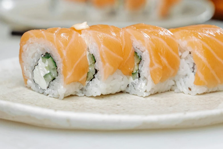 a piece of sushi sitting on top of a white plate, on a pale background, up-close, salmon, streamlined spines