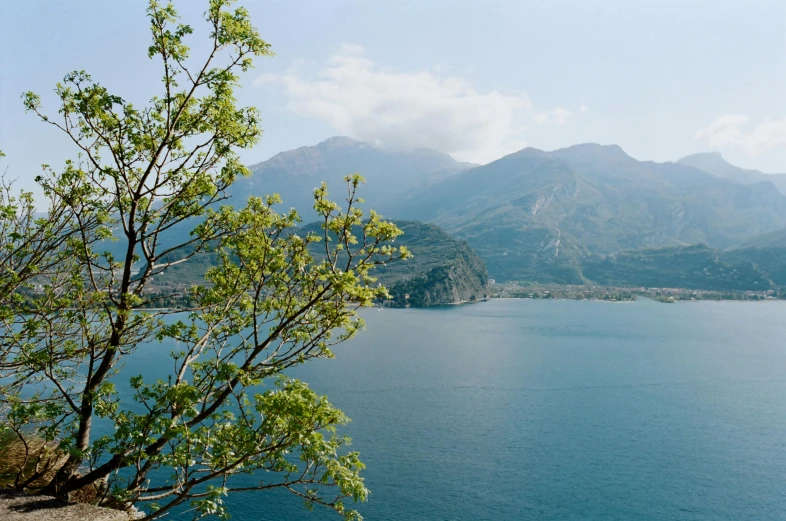 a large body of water with mountains in the background, a picture, inspired by Carlo Randanini, pexels contest winner, hurufiyya, still from l'estate, boka, shot on hasselblad, detailed trees and cliffs