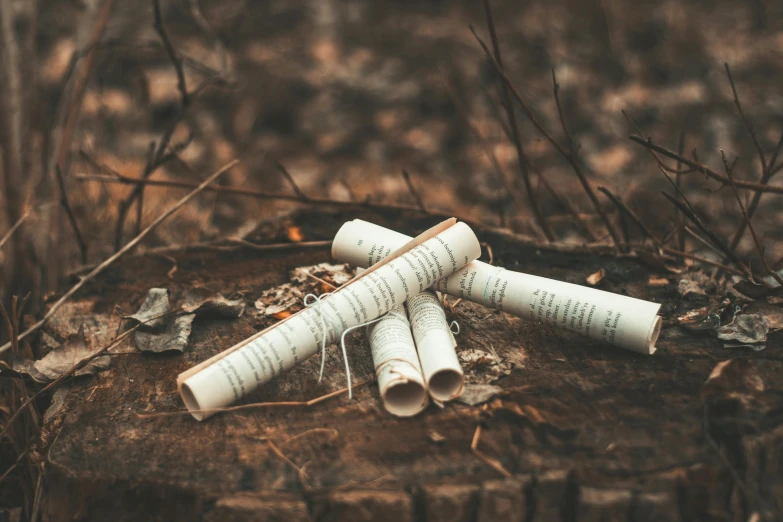 a pile of books sitting on top of a tree stump, by Emma Andijewska, pexels contest winner, discarded scrolls, smoking a joint, lying on the woods path, high quality product image”