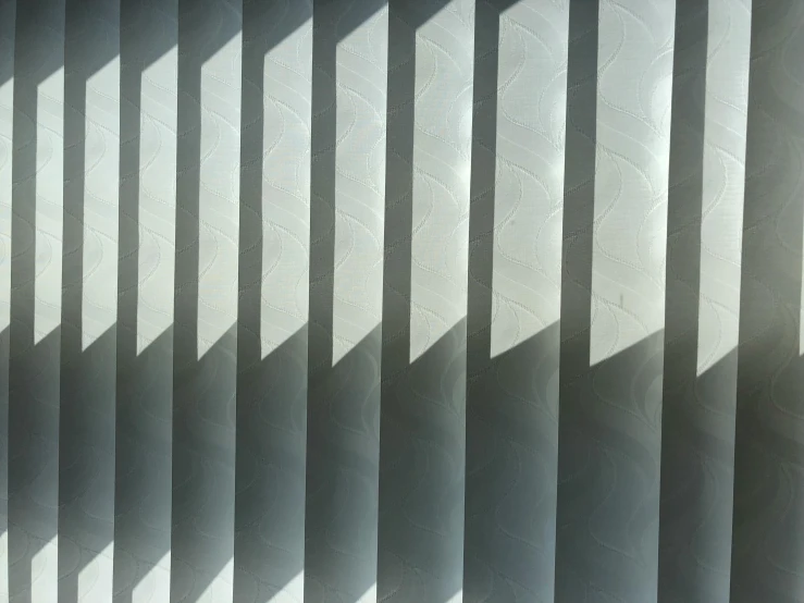 a cat that is sitting in front of a window, inspired by Ryoji Ikeda, pexels contest winner, light and space, metallic patterns, black vertical slatted timber, in a row, volumetric shadow