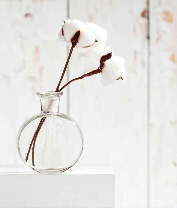 a close up of a vase with flowers in it, cotton clouds, product display photograph, round bottle, cotton