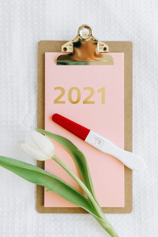 a clipboard with 2021 written on it next to a tulip, by Julia Pishtar, happening, pink and gold color scheme, thumbnail, red and white color theme, sustainable