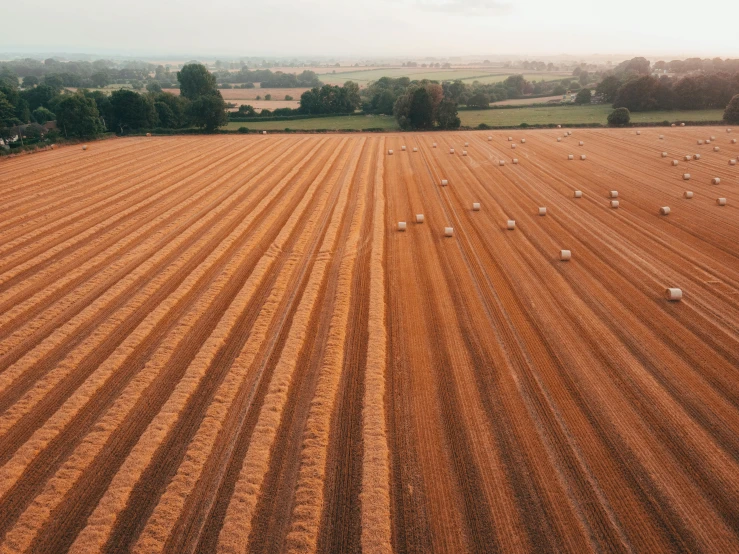 a large field filled with lots of hay, by Julian Hatton, unsplash contest winner, land art, immaculate rows of crops, realistic footage, helicopter view, 2000s photo