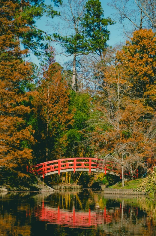 a red bridge over a body of water, cypress trees, autumn colour oak trees, lush surroundings, slide show
